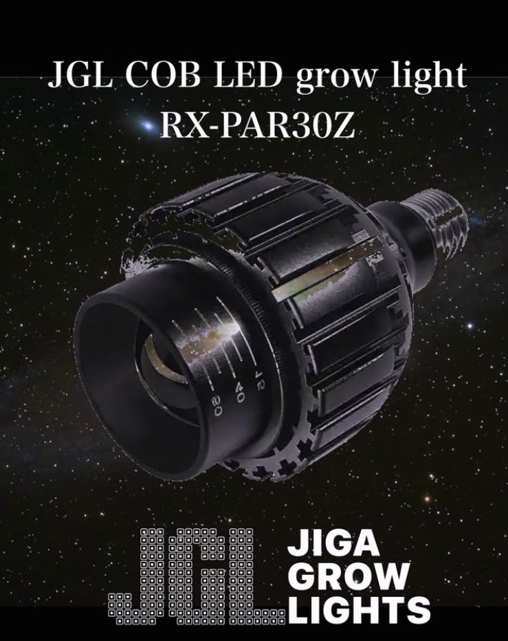 COB LED grow light